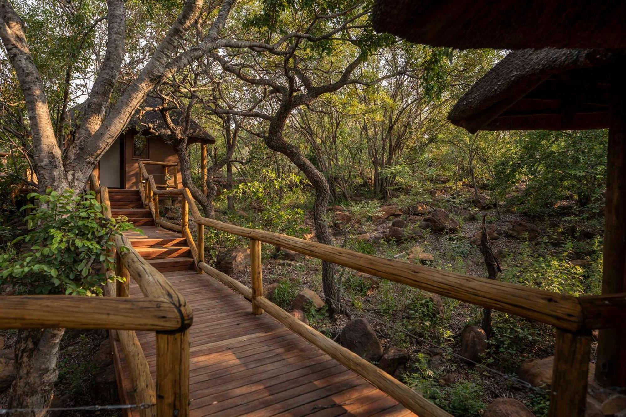 Tshwene Lodge Vaalwater Eksteriør billede