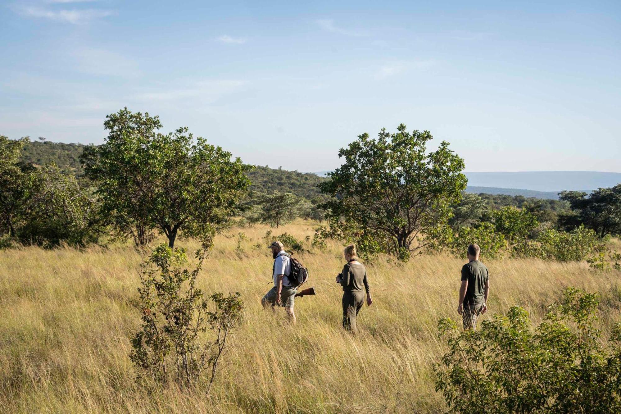 Tshwene Lodge Vaalwater Eksteriør billede