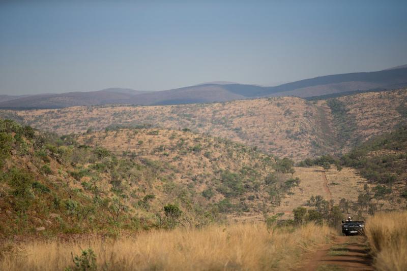 Tshwene Lodge Vaalwater Eksteriør billede